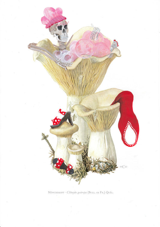 La Catrina in Clitocybe geotropa bathtub